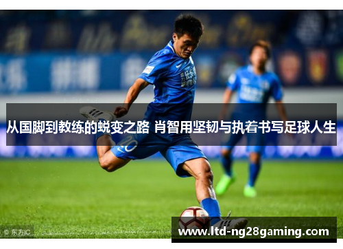 从国脚到教练的蜕变之路 肖智用坚韧与执着书写足球人生 从国脚到教练的蜕变之路 肖智用坚韧与执着书写足球人生