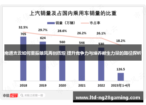 南通支云如何重振雄风再创辉煌 提升竞争力与培养新生力量的路径探析 南通支云如何重振雄风再创辉煌 提升竞争力与培养新生力量的路径探析