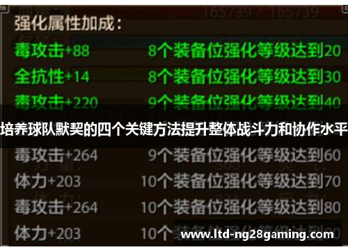 培养球队默契的四个关键方法提升整体战斗力和协作水平