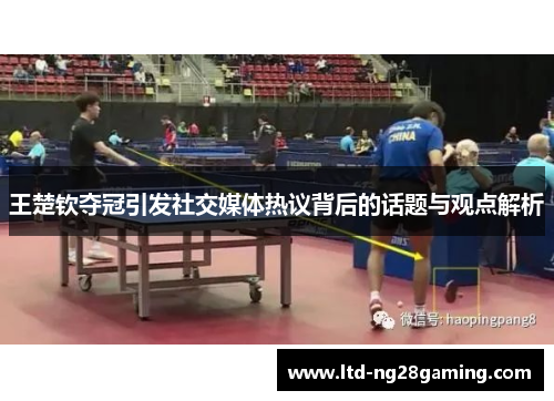 王楚钦夺冠引发社交媒体热议背后的话题与观点解析