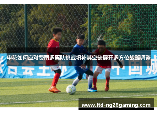 申花如何应对费南多离队挑战填补其空缺展开多方位战略调整