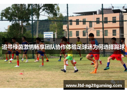 追寻绿茵激情畅享团队协作体验足球迷为何选择踢球 追寻绿茵激情畅享团队协作体验足球迷为何选择踢球