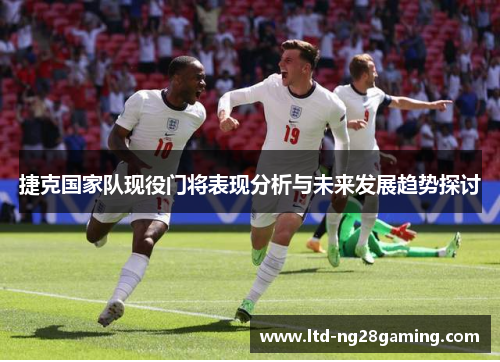 捷克国家队现役门将表现分析与未来发展趋势探讨