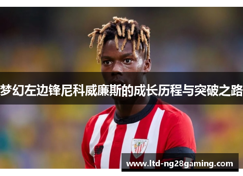 梦幻左边锋尼科威廉斯的成长历程与突破之路 梦幻左边锋尼科威廉斯的成长历程与突破之路