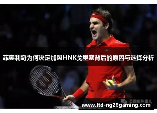 菲奥利奇为何决定加盟HNK戈里察背后的原因与选择分析